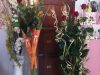 guia33-hospitalet-de-llobregat-decoracion-floristeria-jardinet-l-hospitalet-20843.jpg