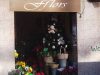 guia33-hospitalet-de-llobregat-floristeria-jardineria-fflors-5341.jpg