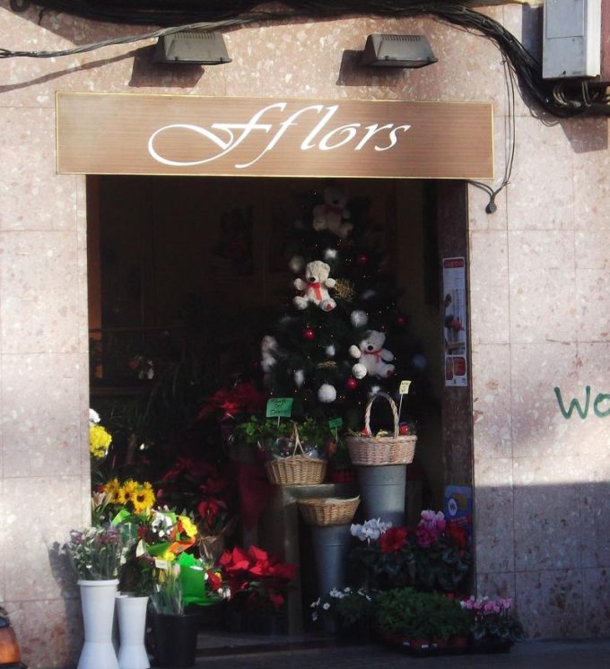 guia33-hospitalet-de-llobregat-floristeria-jardineria-fflors-5341.jpg
