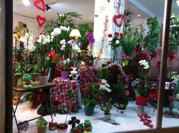 guia33-hospitalet-de-llobregat-floristeria-jardineria-floristeria-jardinet-l-hospitalet-20839.jpg