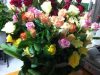 guia33-hospitalet-de-llobregat-floristeria-jardineria-floristeria-jardinet-l-hospitalet-20845.jpg