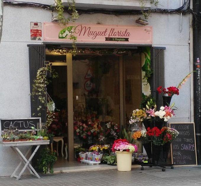guia33-hospitalet-de-llobregat-floristeria-jardineria-muguet-florista-l-hospitalet-21760.jpg