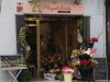 guia33-hospitalet-de-llobregat-floristeria-jardineria-muguet-florista-l-hospitalet-21760.jpg