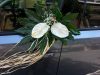 guia33-hospitalet-de-llobregat-floristeria-jardineria-muguet-florista-l-hospitalet-21764.jpg