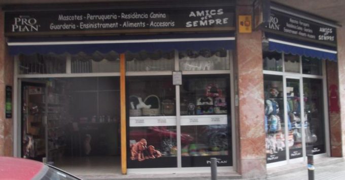 guia33-hospitalet-de-llobregat-peluqueria-canina-amics-per-sempre-mascotas-l-hospitalet-9936.jpg