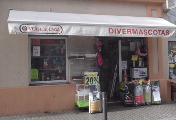 guia33-hospitalet-de-llobregat-peluqueria-canina-divermascotas-3881.jpg