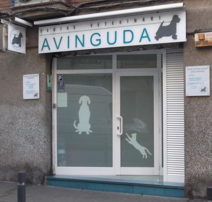 guia33-hospitalet-de-llobregat-veterinario-clinica-veterinaria-avenida-l-hospitalet-9973.jpg