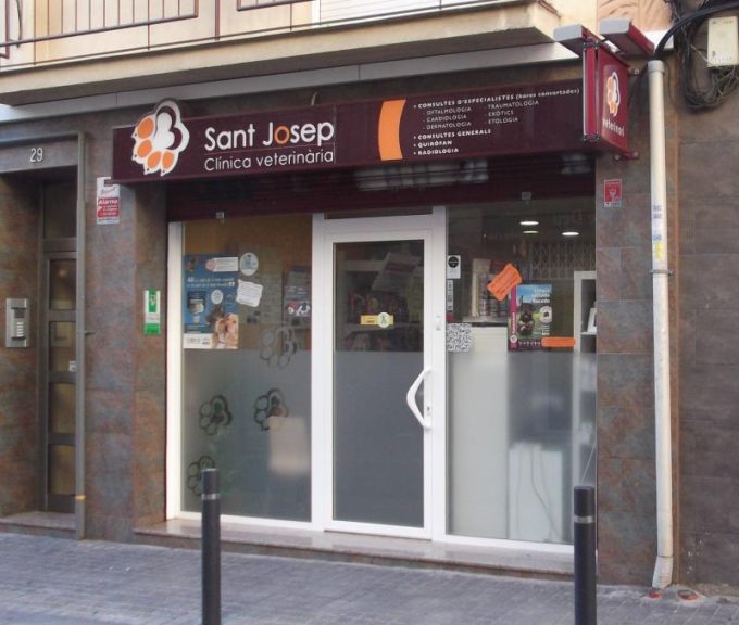 guia33-hospitalet-de-llobregat-veterinario-clinica-veterinaria-sant-josep-9117.jpg