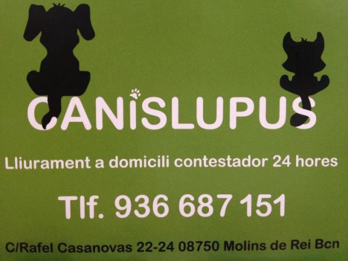 guia33-molins-de-rei-animales-mascotas-peluqueria-canina-canislupus-molins-de-rei-11863.jpg