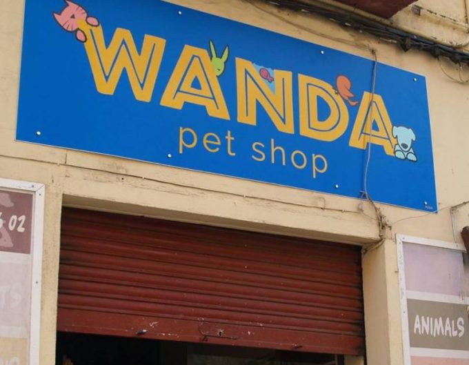 guia33-molins-de-rei-animales-mascotas-peluqueria-canina-wanda-pet-shop-molins-de-rei-12048.jpg