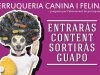 guia33-molins-de-rei-peluqueria-canina-peluqueria-canina-y-felina-baix-llobregat-13363.jpg