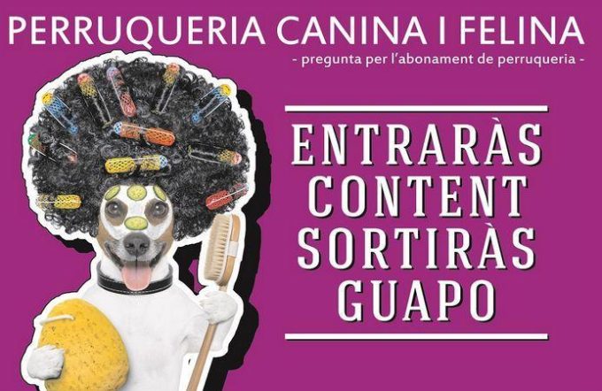 guia33-molins-de-rei-peluqueria-canina-peluqueria-canina-y-felina-baix-llobregat-13363.jpg