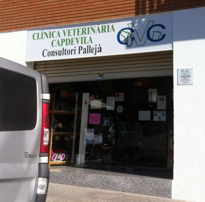 guia33-palleja-veterinario-clinica-veterinaria-capdevila-5364.jpg