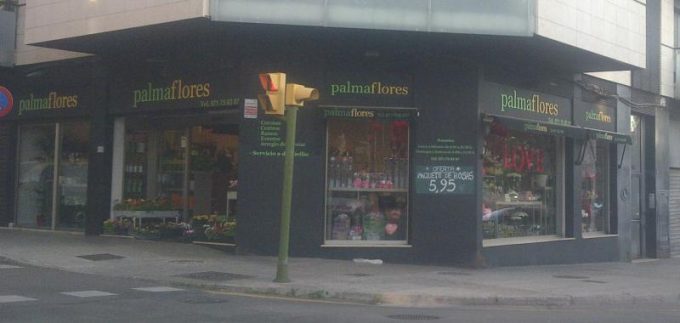 guia33-palma-de-mallorca-floristeria-jardineria-palma-flores-palma-de-mallorca-24182.jpg