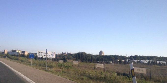 guia33-palma-de-mallorca-jardineria-viveros-isla-verde-palma-de-mallorca-24067.jpg