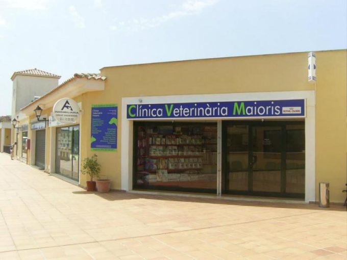 guia33-palma-de-mallorca-veterinario-clinica-veterinaria-maioris-palma-23254.jpg