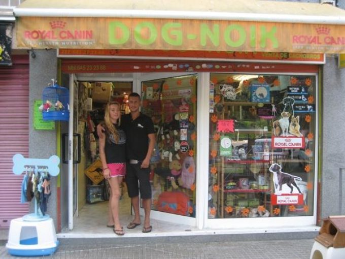 guia33-sant-feliu-de-llobregat-animales-mascotas-peluqueria-canina-dog-noik-9090.jpg