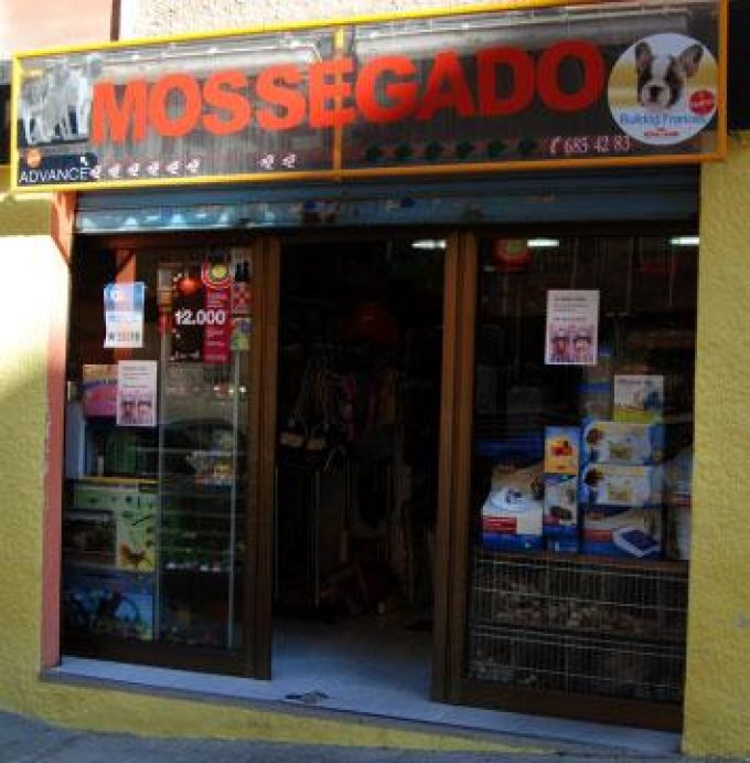 guia33-sant-feliu-de-llobregat-animales-mascotas-peluqueria-canina-mossegador-4070.jpg