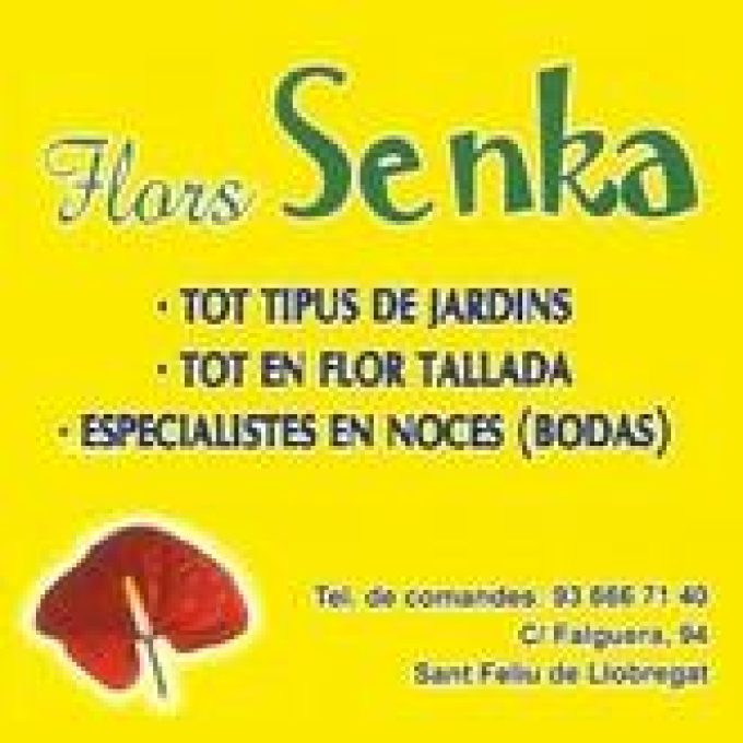 guia33-sant-feliu-de-llobregat-floristeria-jardineria-flors-senka-6042.jpg