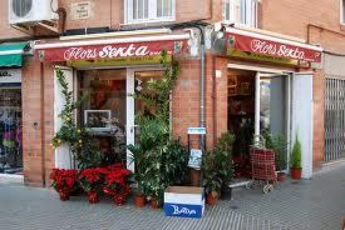 guia33-sant-feliu-de-llobregat-floristeria-jardineria-flors-senka-8204.jpg