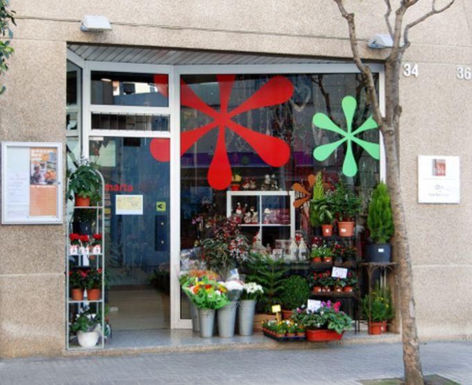 guia33-sant-feliu-de-llobregat-floristeria-jardineria-marta-majo-flors-7037.jpg