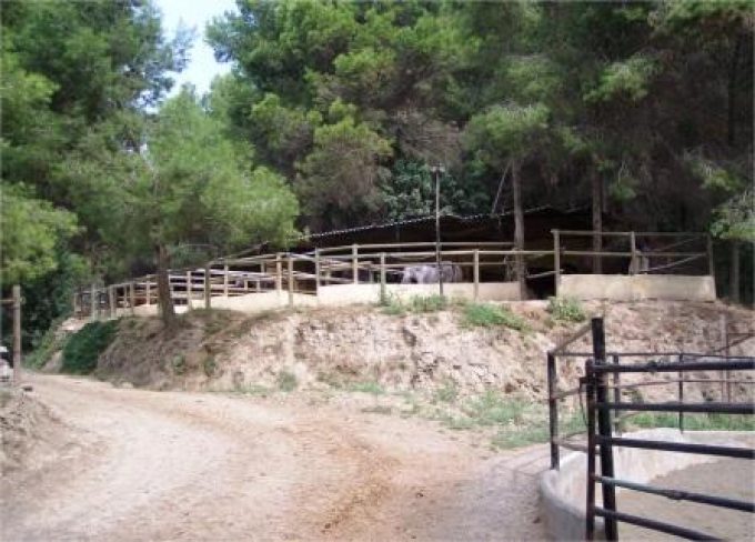 guia33-sant-feliu-de-llobregat-hipica-y-equitacion-hipica-can-rafael-9155.jpg