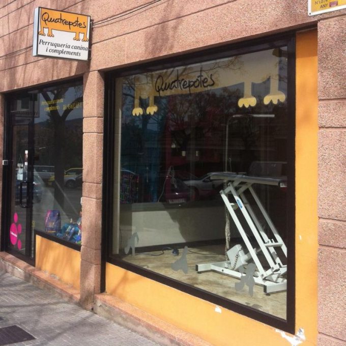 guia33-sant-feliu-de-llobregat-peluqueria-canina-quatre-potes-6899.jpg