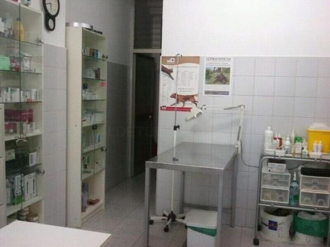 guia33-sant-feliu-de-llobregat-veterinario-centre-veterinari-sant-feliu-8924.jpg