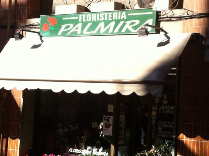 guia33-sant-joan-despi-floristeria-jardineria-palmira-floristeria-4108.jpg