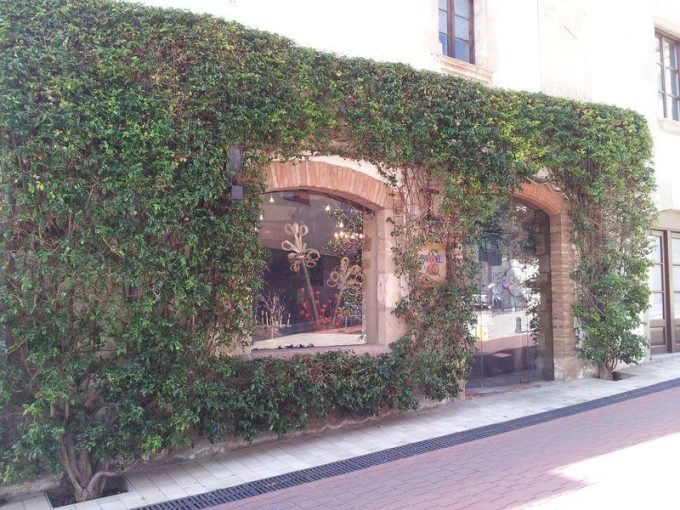guia33-sant-just-desvern-floristeria-jardineria-l-arrel-7786.jpg