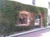 guia33-sant-just-desvern-floristeria-jardineria-l-arrel-7786.jpg