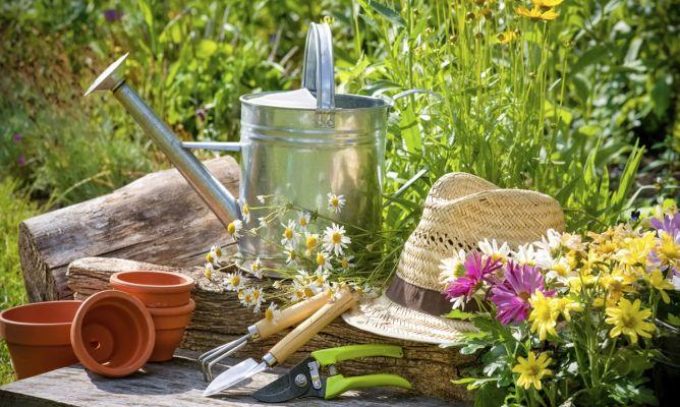 guia33-sant-vicenc-dels-horts-floristeria-jardineria-lluis-casasampere-jardinero-sant-vicenc-20884.jpg