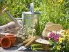 guia33-sant-vicenc-dels-horts-floristeria-jardineria-lluis-casasampere-jardinero-sant-vicenc-20884.jpg