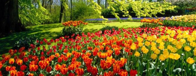 guia33-sant-vicenc-dels-horts-floristeria-jardineria-lluis-casasampere-jardinero-sant-vicenc-20889.jpg