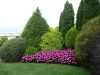 guia33-sant-vicenc-dels-horts-floristeria-jardineria-lluis-casasampere-jardinero-sant-vicenc-20891.jpg