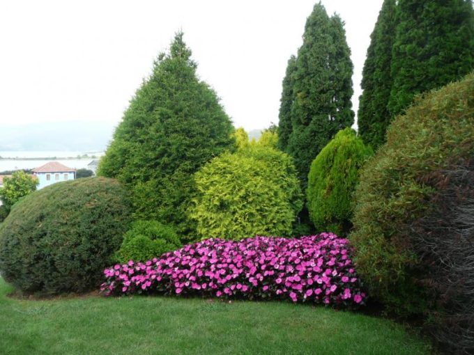 guia33-sant-vicenc-dels-horts-floristeria-jardineria-lluis-casasampere-jardinero-sant-vicenc-20891.jpg