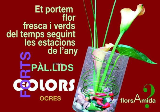 guia33-sant-vicenc-dels-horts-floristeria-jardineria-vallsflors-7366.jpg