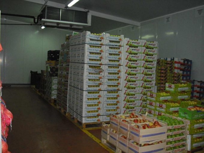 guia33-sant-vicenc-dels-horts-frutas-y-verduras-frutas-andres-7380.jpg
