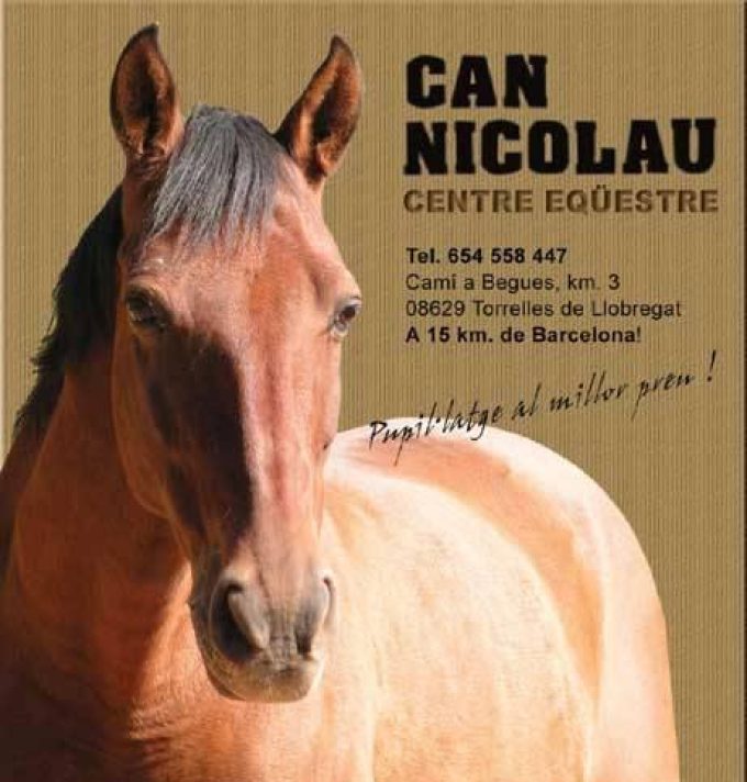 guia33-torrelles-escuela-de-equitacion-centre-equestre-can-nicolau-8457.jpg