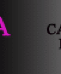 Paloma bazar multiprecio Esplugues